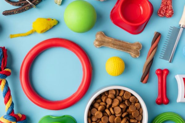 pet-accessories-still-life-concept-with-colorful-objects-800x800